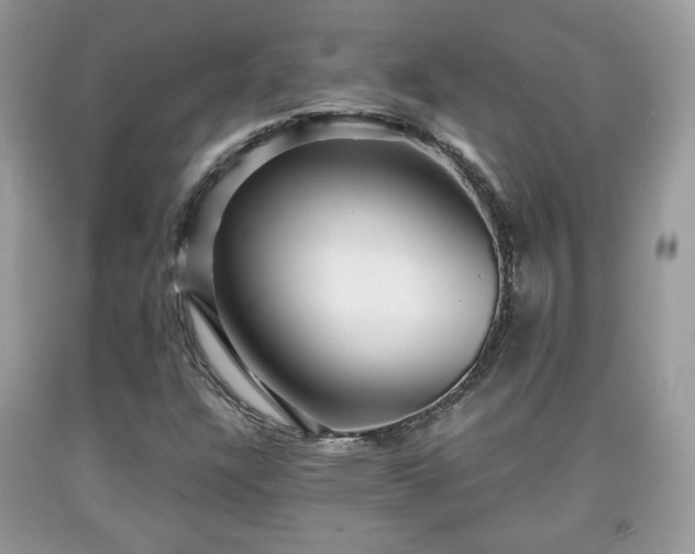 X0000091961304200709131218