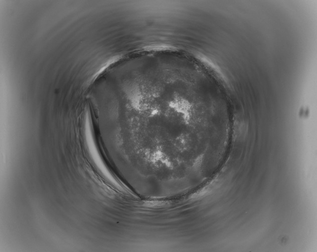 X0000091961305200709131218