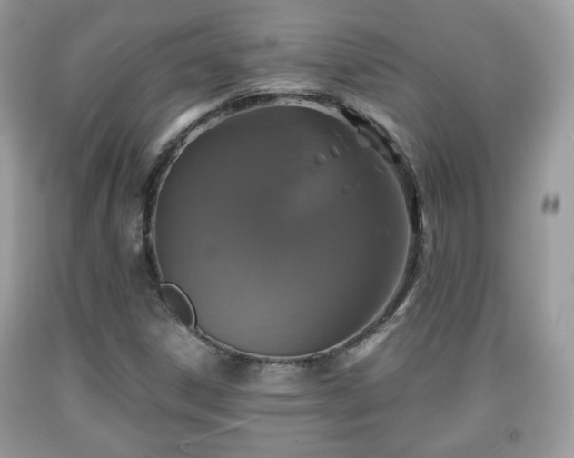 X0000091961306200709131218