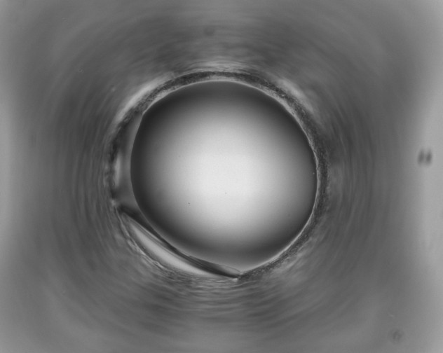 X0000091961307200709131218