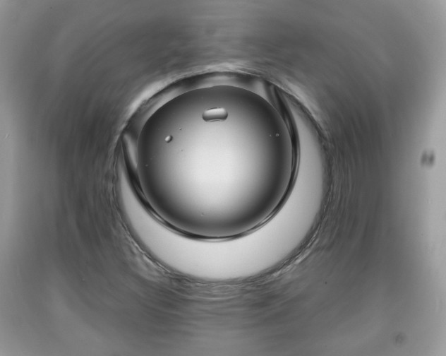 X0000091961308200709131218