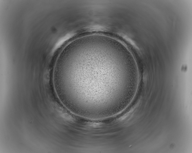 X0000091961309200709131218