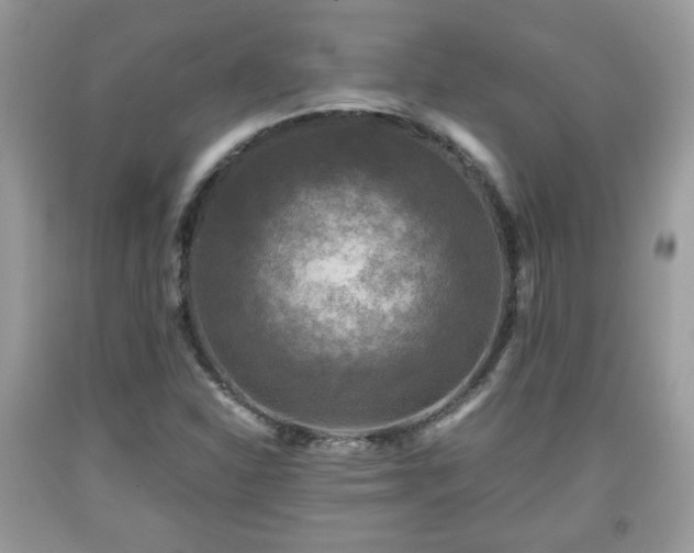 X0000091961310200709131218