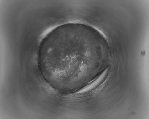 X0000091961311200709131218