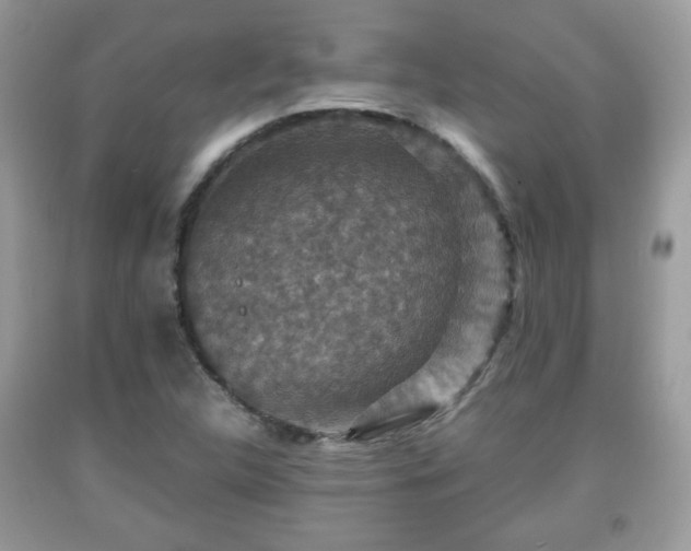 X0000091961312200709131218