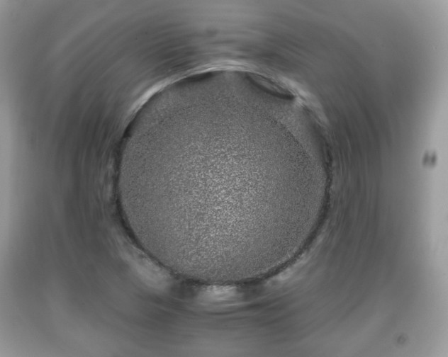 X0000091961313200709131218