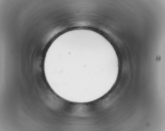 X0000091961314200709131218