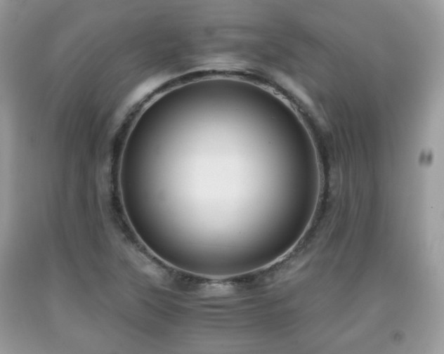 X0000091961315200709131218