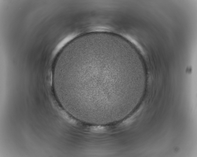 X0000091961317200709131218