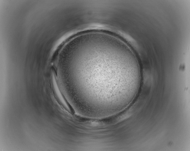 X0000091961318200709131218