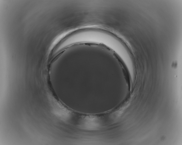 X0000091961319200709131218