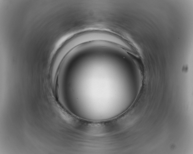 X0000091961320200709131218