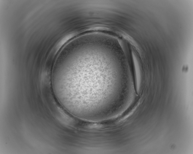 X0000091961321200709131218