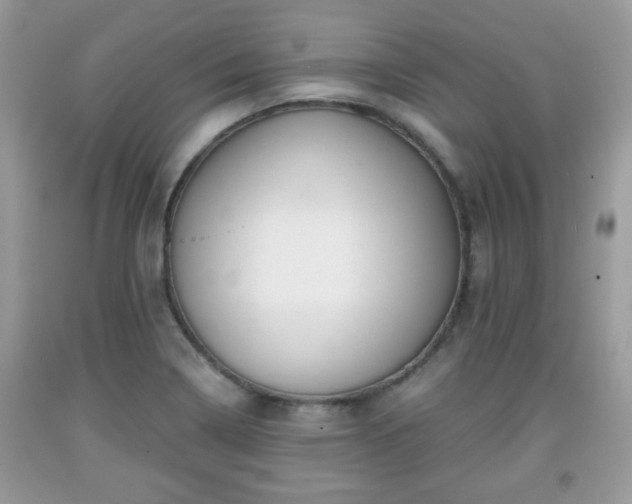 X0000091961322200709131218