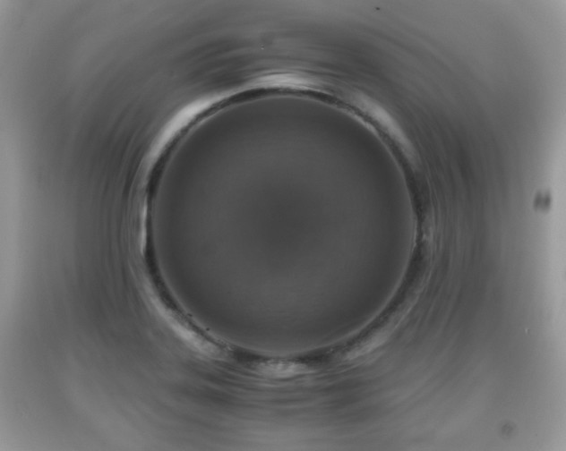 X0000091961323200709131218