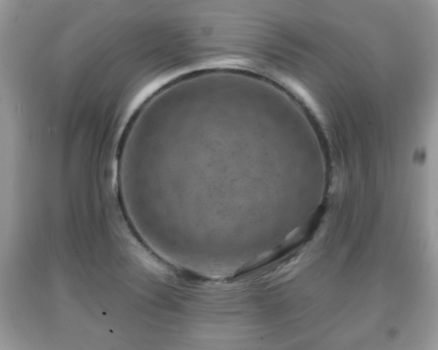 X0000091961324200709131218