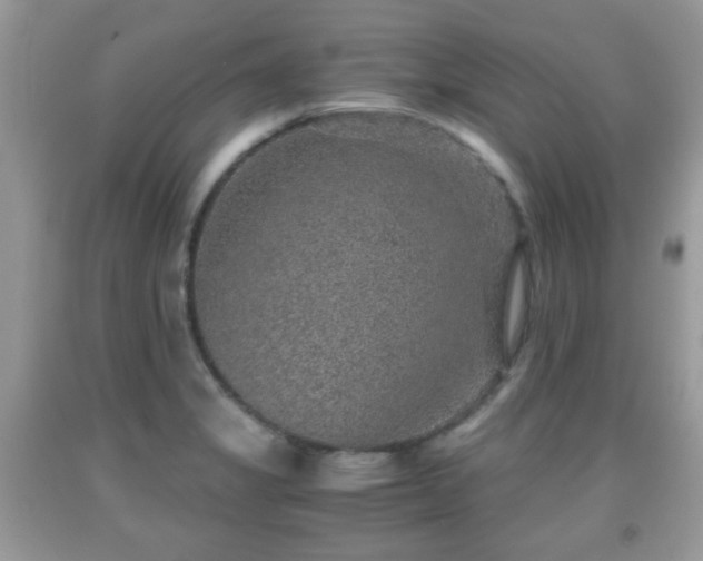 X0000091961325200709131218