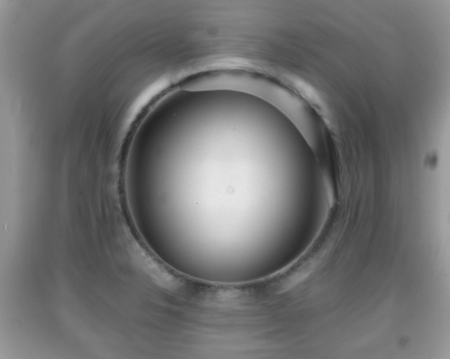 X0000091961326200709131218