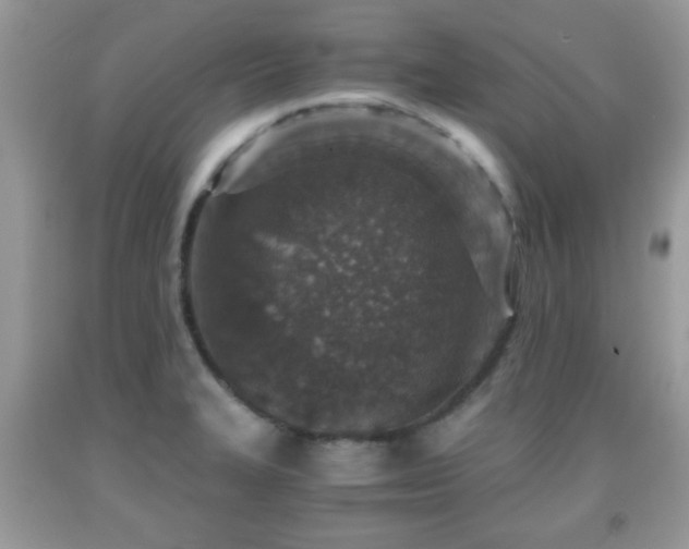 X0000091961327200709131218