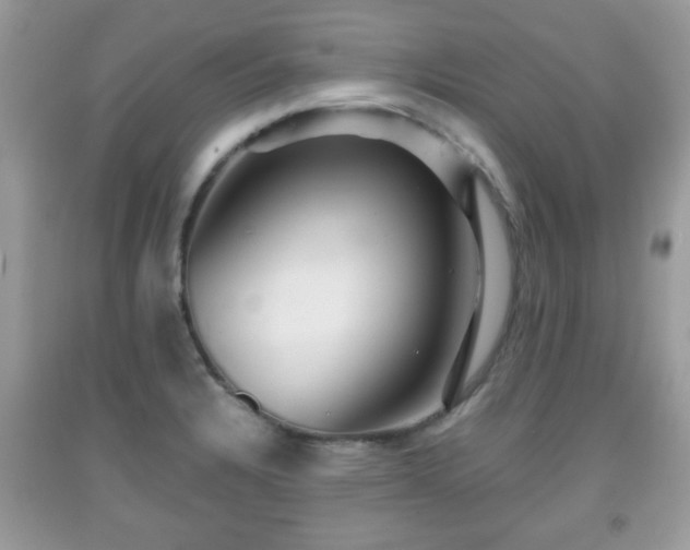 X0000091961328200709131218