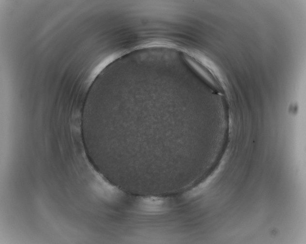 X0000091961329200709131218