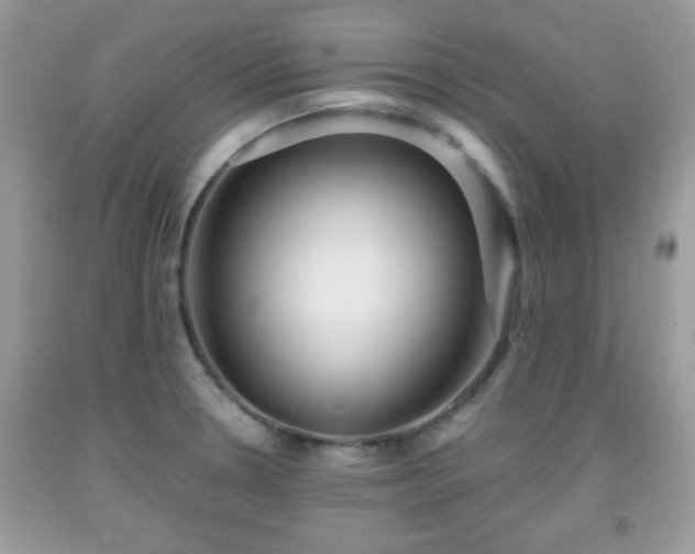 X0000091961330200709131218