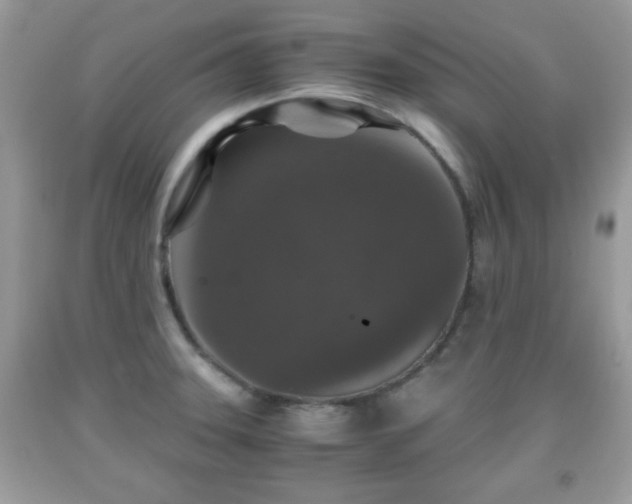 X0000091961331200709131218