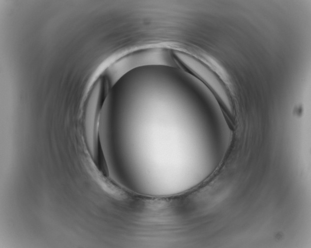 X0000091961332200709131218