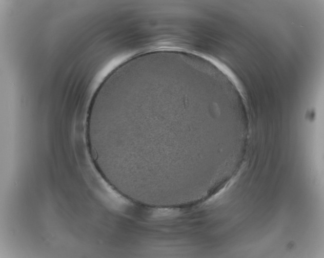 X0000091961333200709131218