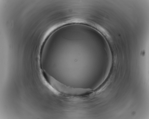 X0000091961334200709131218