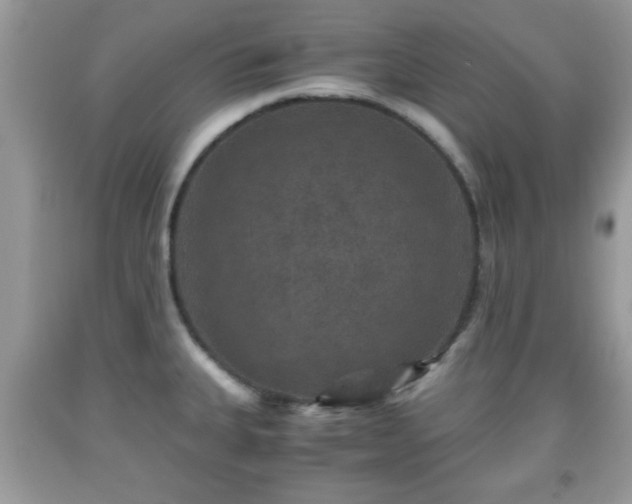 X0000091961335200709131218