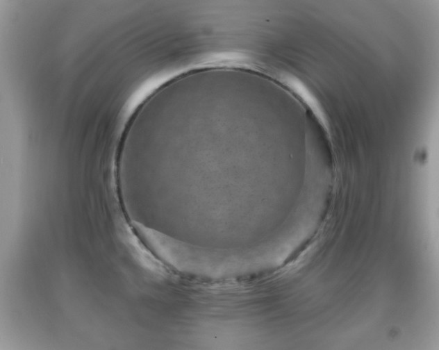 X0000091961336200709131218