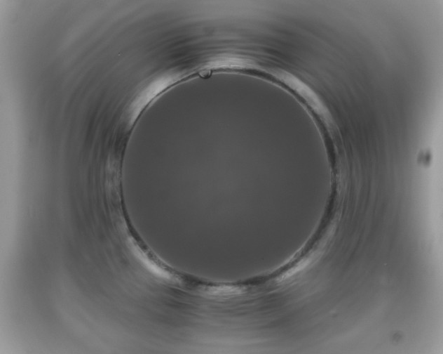 X0000091961337200709131218