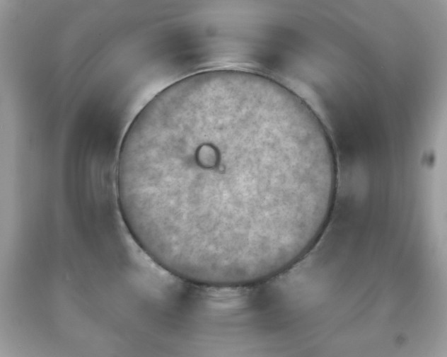 X0000091961338200709131218