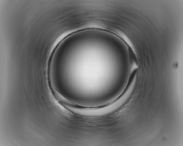 X0000091961339200709131218