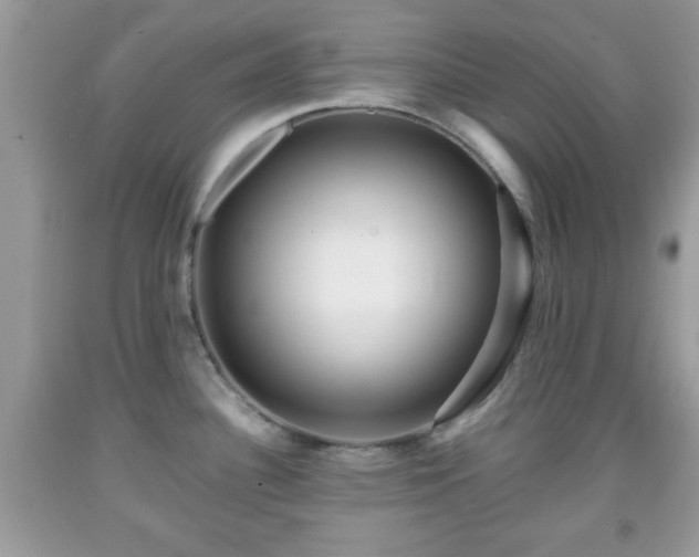 X0000091961340200709131218