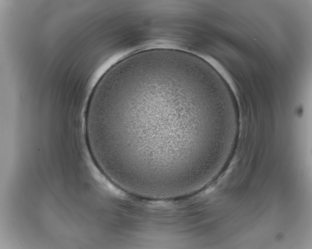 X0000091961341200709131218