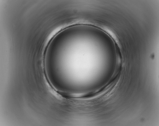 X0000091961342200709131218