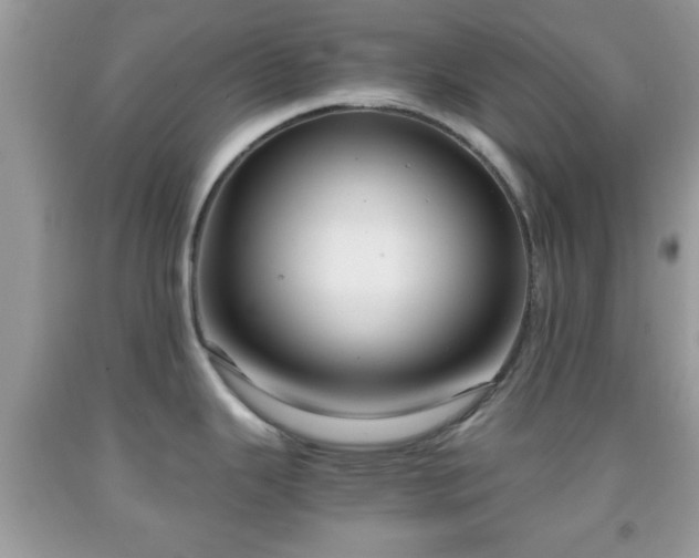 X0000091961343200709131218