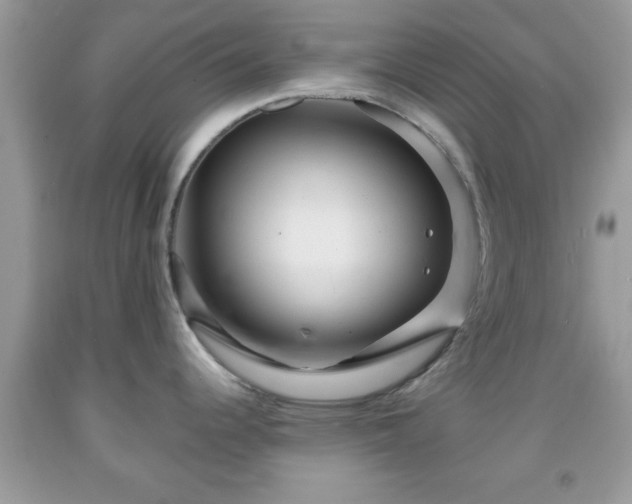 X0000091961344200709131218