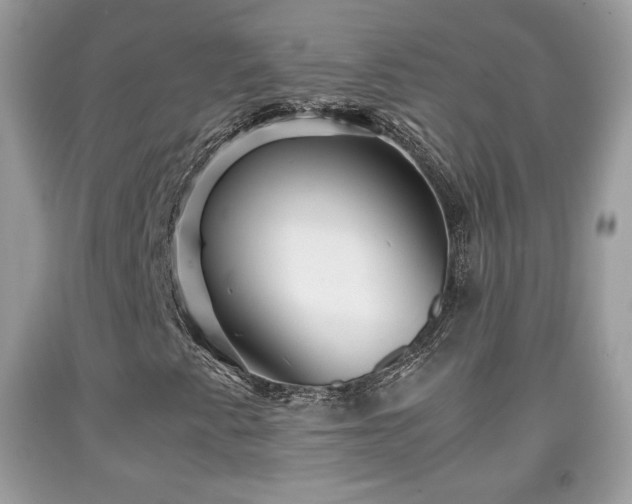 X0000091961345200709131218