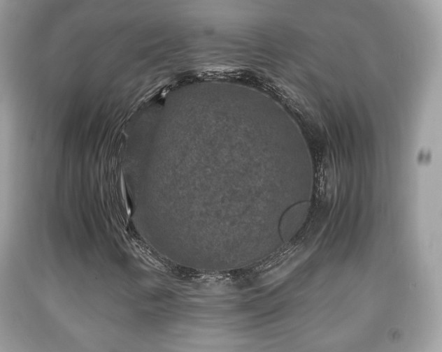 X0000091961346200709131218