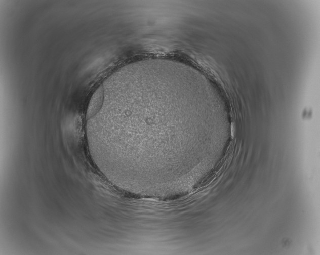 X0000091961347200709131218