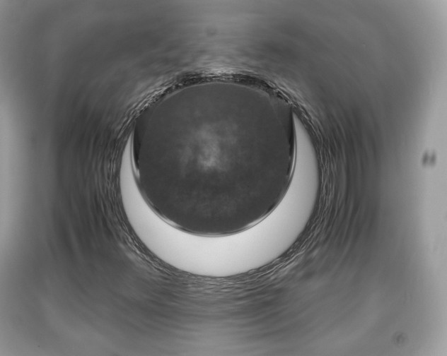 X0000091961348200709131218