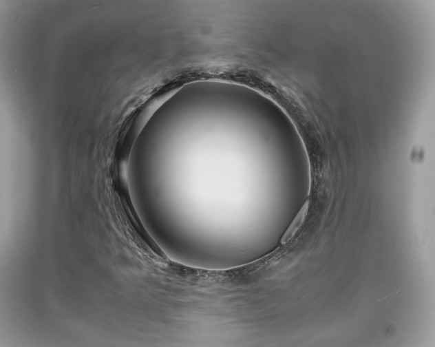 X0000091961349200709131218