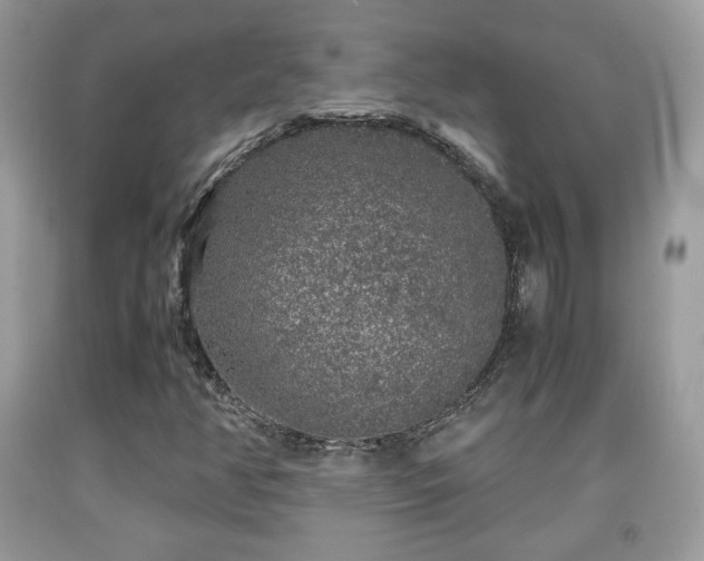 X0000091961350200709131218