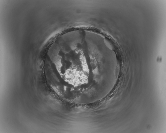 X0000091961351200709131218