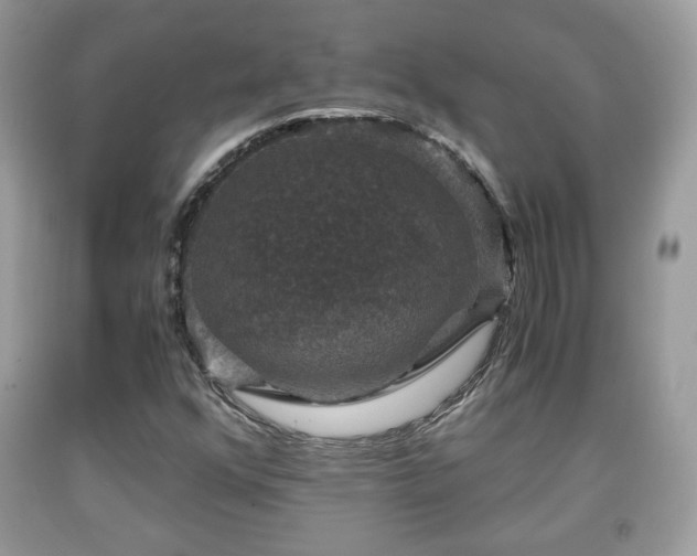 X0000091961352200709131218