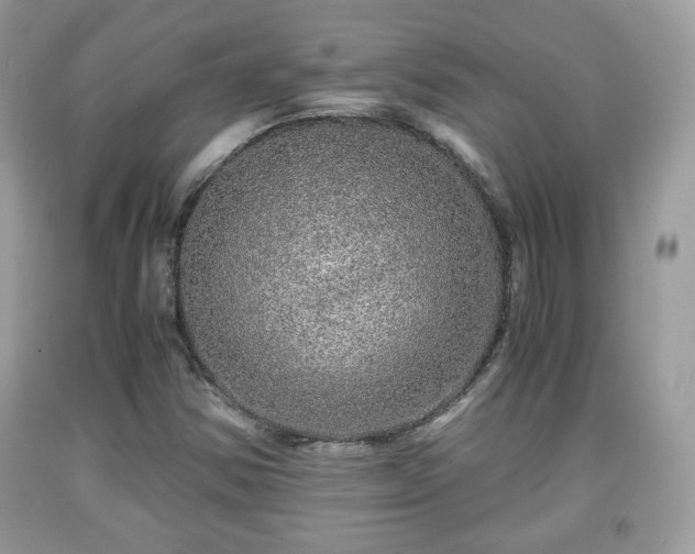 X0000091961354200709131218