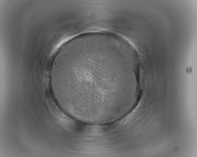 X0000091961355200709131218